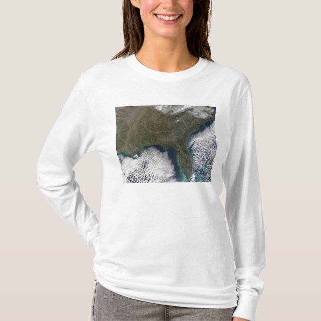 Camiseta Estados Unidos del Sur de América (Anverso)