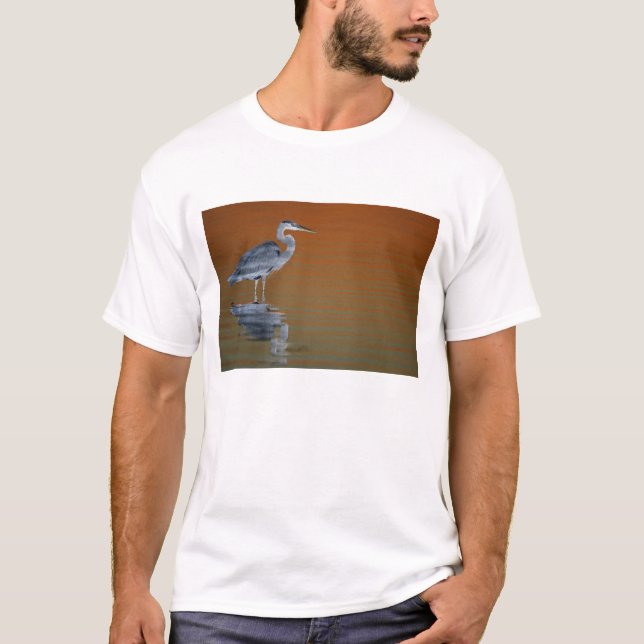 Camiseta Estados Unidos, Florida, San Petersburgo, Fort De  (Anverso)