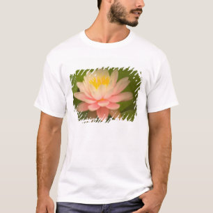 Camiseta Estados Unidos, Maryland, Westminster, Union