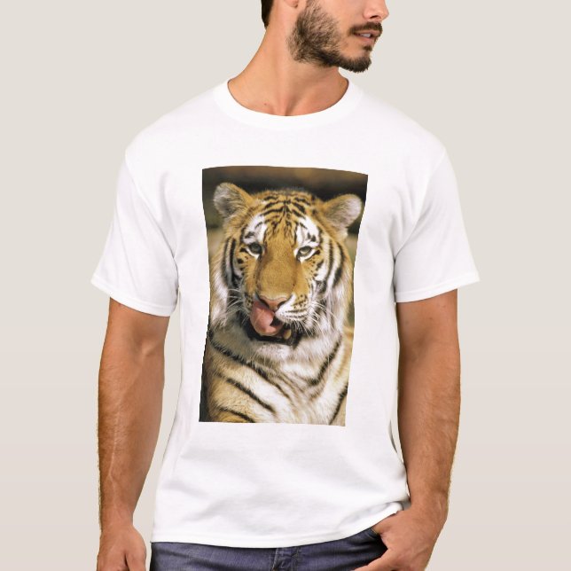 Camiseta Estados Unidos, Michigan, Detroit. Zoológico de De (Anverso)