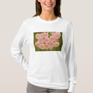 Camiseta Estados Unidos, Virginia, Manassas, Manassas Natio