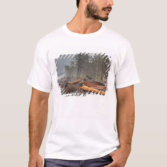 Camiseta Estados Unidos, Washington, Parque Nacional Olímpi (Anverso)