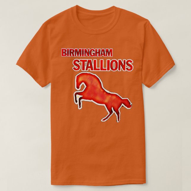 Camiseta Estalliones de Birmingham TShirt 1 (Diseño del anverso)