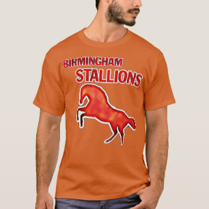 Camiseta Estalliones de Birmingham TShirt 1