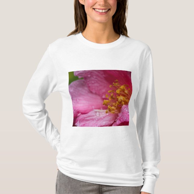 Camiseta Estambres de flores de camellia rosa (Anverso)