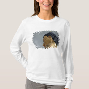 Camiseta estatua de Buddha Dordenma