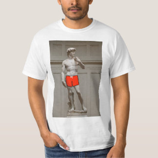 Camiseta Estatua de David