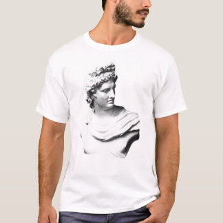 Camiseta estatua del dios griego Apolo regalo