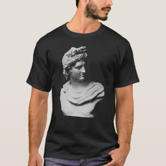 Camiseta estatua del dios griego Apolo regalo