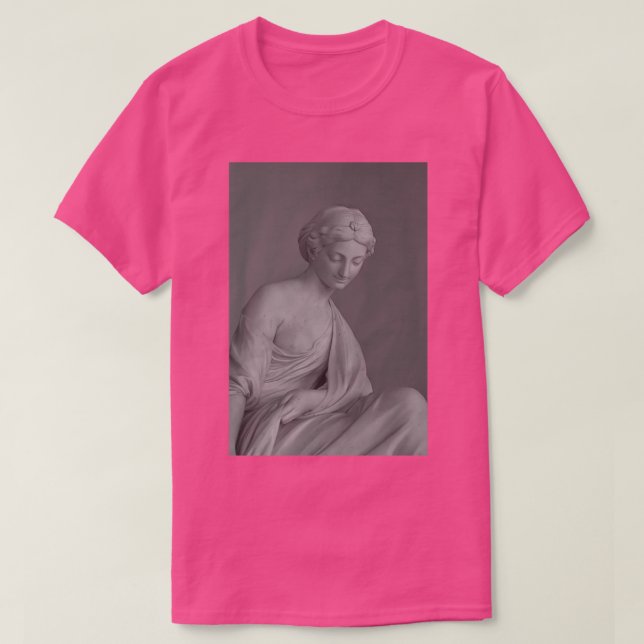 Camiseta estatua en el museo (Diseño del anverso)
