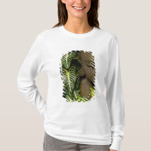 Camiseta Estatua en una información de ubicación del