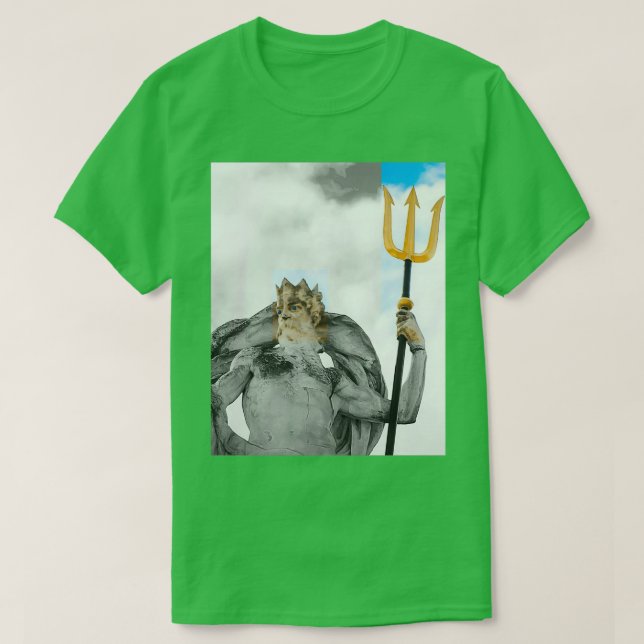 Camiseta Estatua griega Zeus (Diseño del anverso)