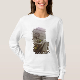 Camiseta Estatua india americana del Museo Nacional