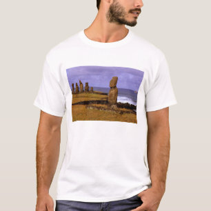 Camiseta Estatua Moai de la Plataforma Tahai Resúmenes Pasc