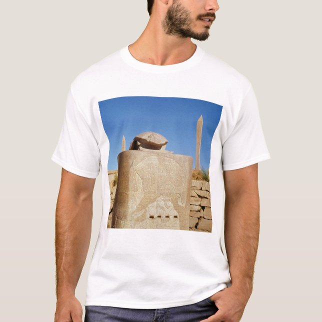 Camiseta Estatua sagrada del escarabajo en el templo de (Anverso)