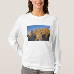 Camiseta Estatuas de cabezas colosales de Dioses custodiand