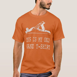 Camiseta Este es mi único avión divertido Pun Tee