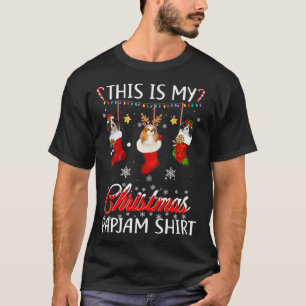 Camiseta Este Navidad A Pajama Cavalier King En Calcetines
