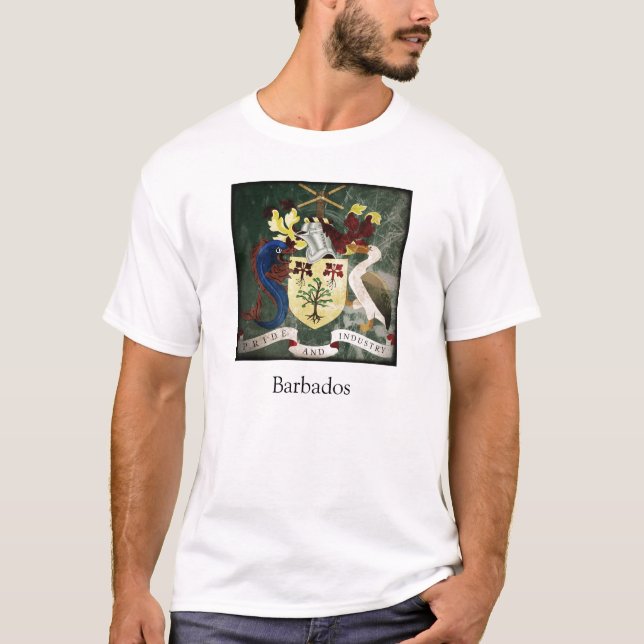Camiseta Estilizado Barbados COA (Anverso)