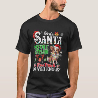 Camiseta Estimado Papá Noel Antes De Explicar Cuánto Conoce