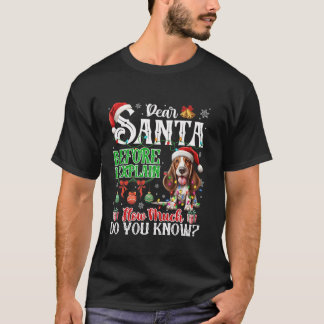 Camiseta Estimado Papá Noel Antes De Explicar Cuánto Sabes 