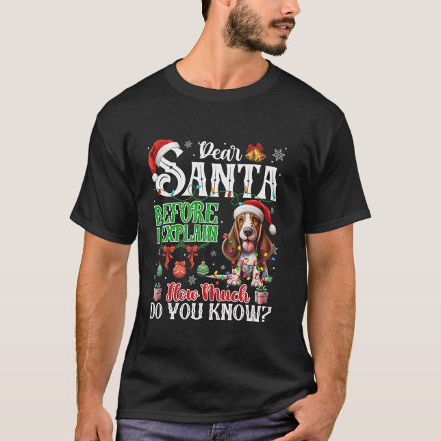 Camiseta Estimado Papá Noel Antes De Explicar Cuánto Sabes  (Anverso)