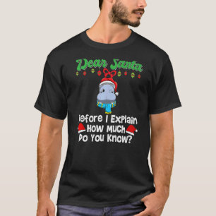 Camiseta Estimado Papá Noel Antes De Explicar Cuánto Sabes