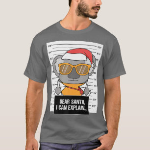 Camiseta Estimado Santa I Puedo Explicar A Koala Glass Crim