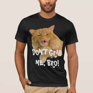 Camiseta ¡Estimado Sr. triunfo no me ase Bro!