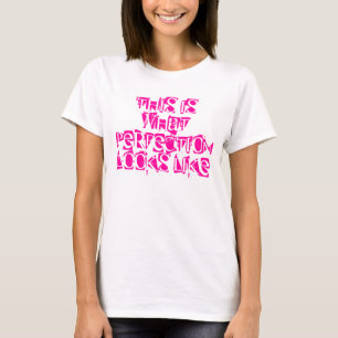 CAMISETA ESTO ES LO QUE PARECE LA PERFECCIÓN