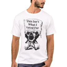 Esto no es por lo que voté