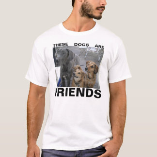 CAMISETA ESTOS PERROS SON AMIGOS