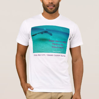 Camiseta Éstos son mi ala-Este son mi cielo-Adulto T