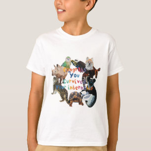 Camiseta Estoy a favor de Intern