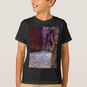 Camiseta Estrechos de Zion que caminan a través del río e