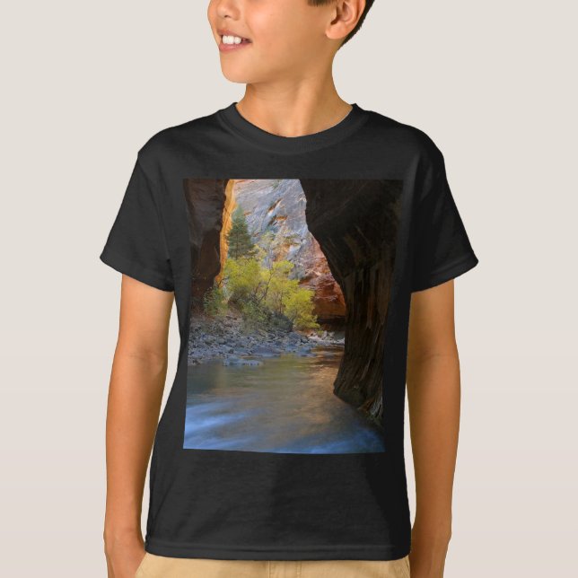Camiseta Estrechos en el parque nacional de Zion (Anverso)