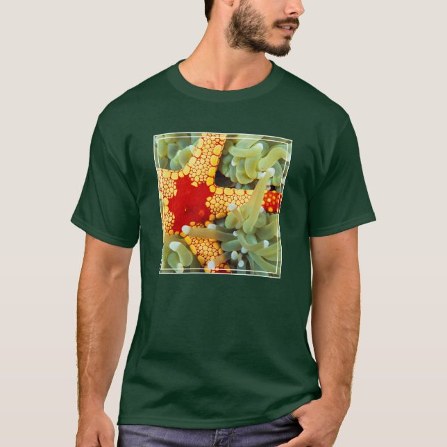 Camiseta Estrella de mar roja y amarilla (Anverso)
