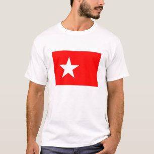 Camiseta Estrella holandesa de la bandera de la ciudad de