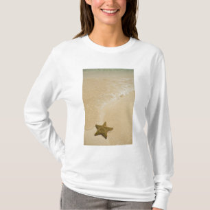 Camiseta Estrellas de mar en playa arenosa, Gibbs Cay Land
