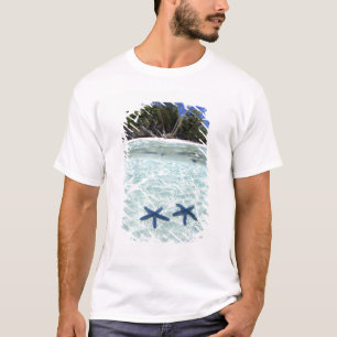 Camiseta Estrellas de mar, Islas Roca, Palaos 2