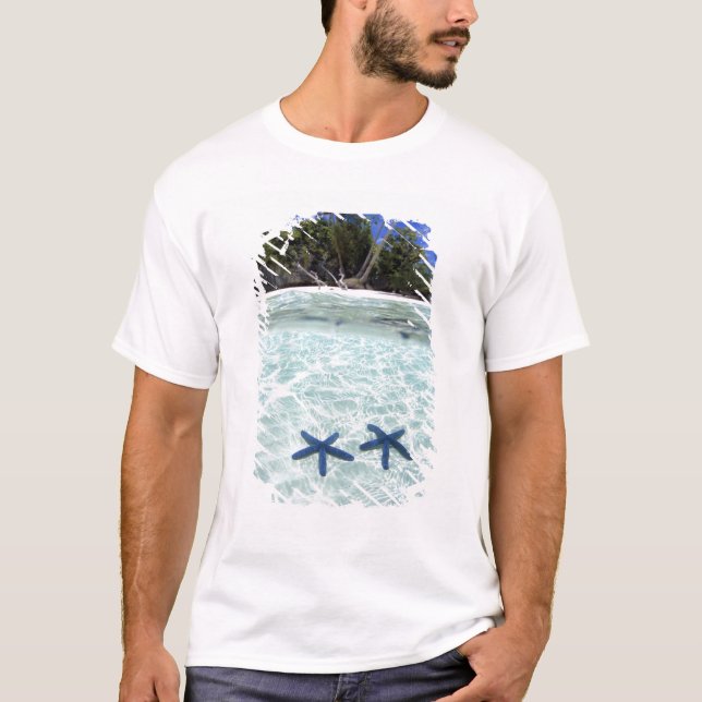 Camiseta Estrellas de mar, Islas Roca, Palaos 2 (Anverso)