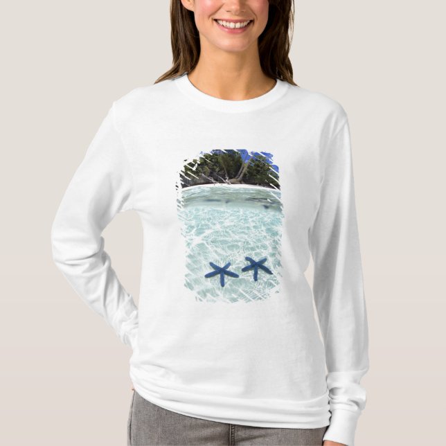 Camiseta Estrellas de mar, Islas Roca, Palaos 2 (Anverso)