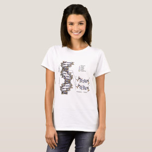 Camiseta Estructura de ADN Diagrama de bases de ácido desox