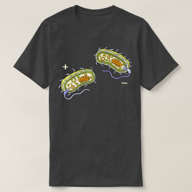 Camiseta Estructura interna bacteriana Gram Positivo y Gram (Diseño del anverso)