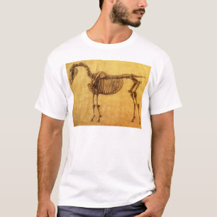 Camiseta Estudio acabado el   de George Stubbs para el