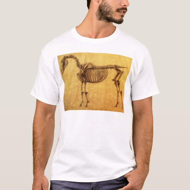 Camiseta Estudio acabado el | de George Stubbs para el (Anverso)