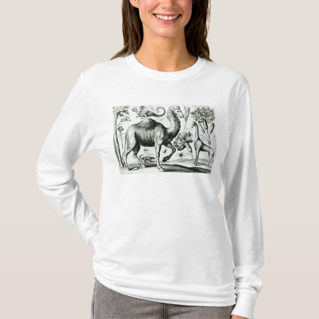 Camiseta Estudio de animales y de flores, grabado (Anverso)