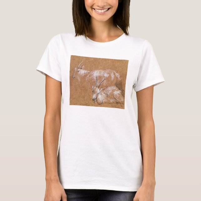 Camiseta Estudio de las cabras (dibujo) (Anverso)