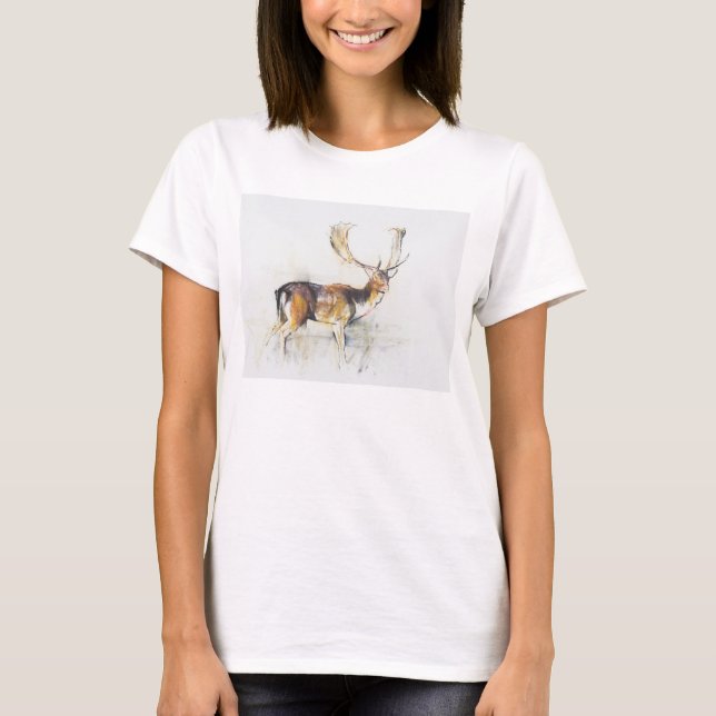 Camiseta Estudio de un macho (Anverso)
