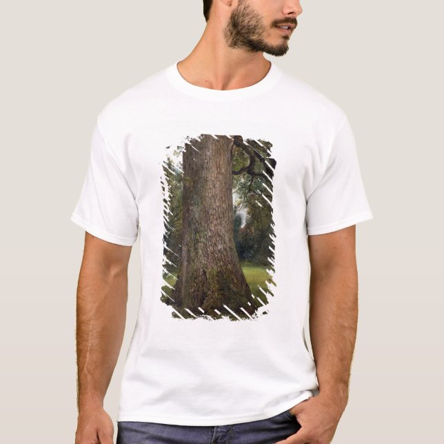 Camiseta Estudio del tronco de un árbol de olmo, c.1821 (Anverso)